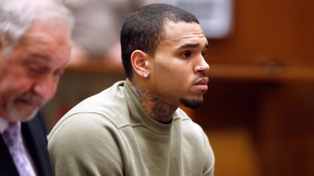 Chris Brown Ordered to Pay Nearly $14 Million After Housekeeper’s Dog Attack at Tarzana Mansion
